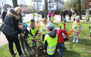 Dzień Ziemi Miasto (6)