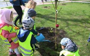 Dzień Ziemi Miasto (2)