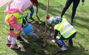 Dzień Ziemi Miasto (3)