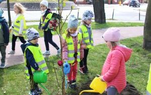 Dzień Ziemi Miasto (5)