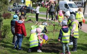 Dzień Ziemi Miasto (7)