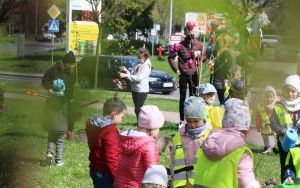 Dzień Ziemi Miasto (8)