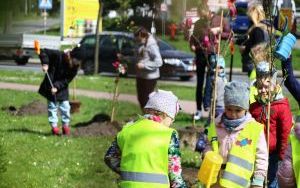 Dzień Ziemi Miasto (1)