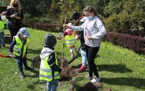 Dzień Ziemi Miasto (2)