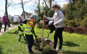 Dzień Ziemi Miasto (3)