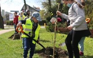 Dzień Ziemi Miasto (5)